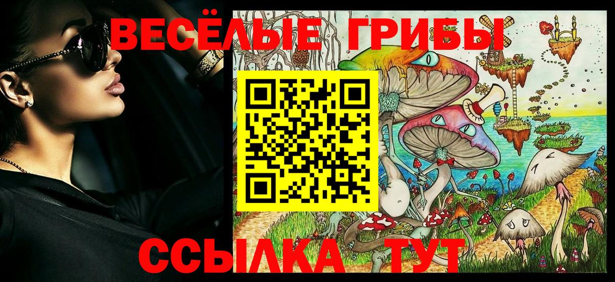 Галлюциногенные грибы мицелий  Вход с VPN  Горячий Ключ 