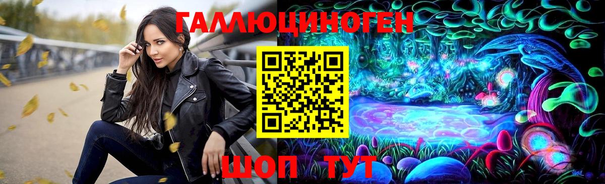 Псилоцибиновые грибы Psilocybine cubensis Горячий Ключ